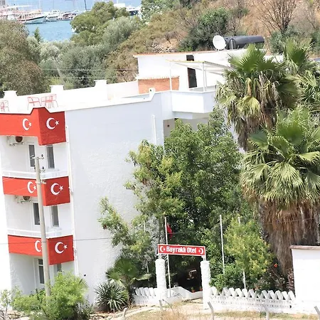 Отель Bayrakli